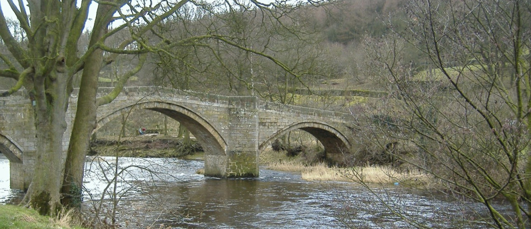 banner image of surroundings