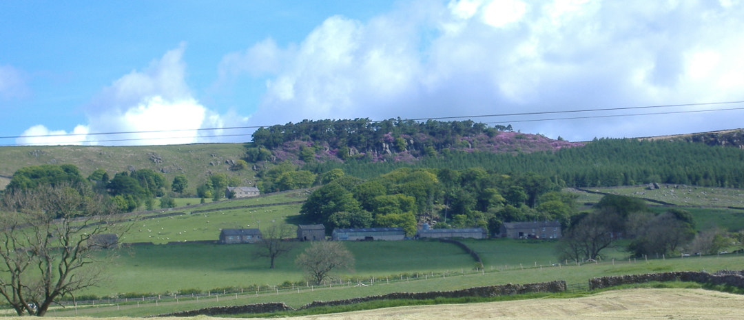 banner image of surroundings